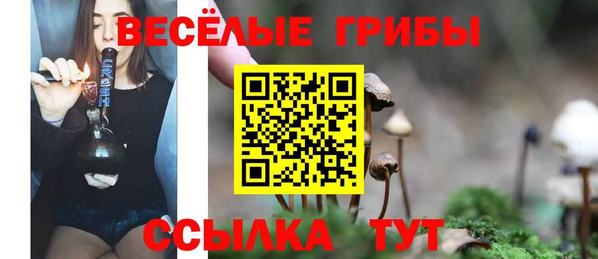 Галлюциногенные грибы Magic Shrooms Нижний Тагил